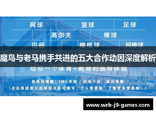 魔鸟与老马携手共进的五大合作动因深度解析 魔鸟与老马携手共进的五大合作动因深度解析