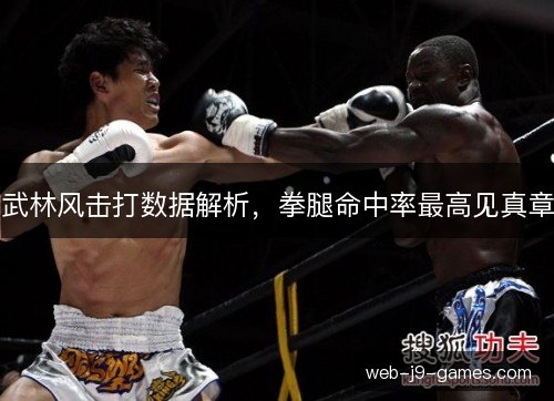 武林风击打数据解析，拳腿命中率最高见真章